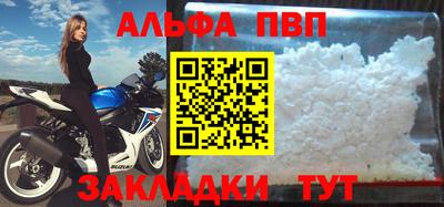 стаф Донской